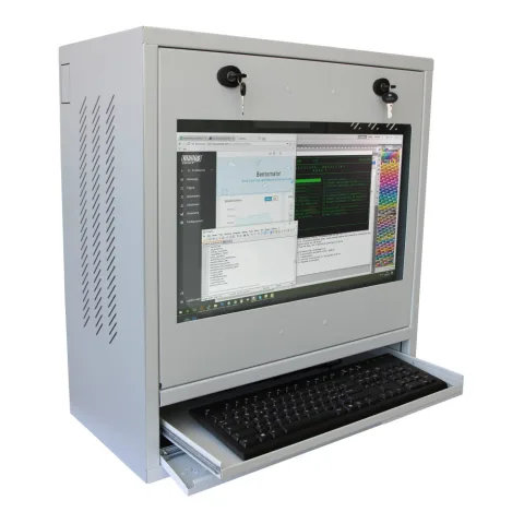 ICRLIM10