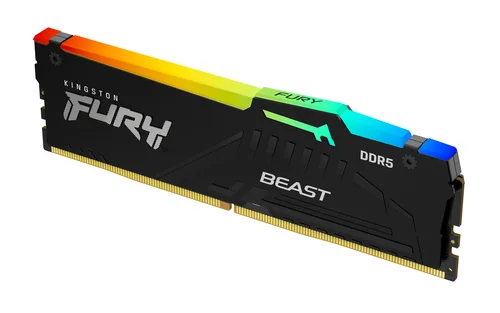 Kingston Technology KF560C36BBEA-8